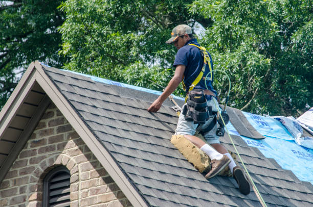 Roof Waterproofing Services in Livonia, LA